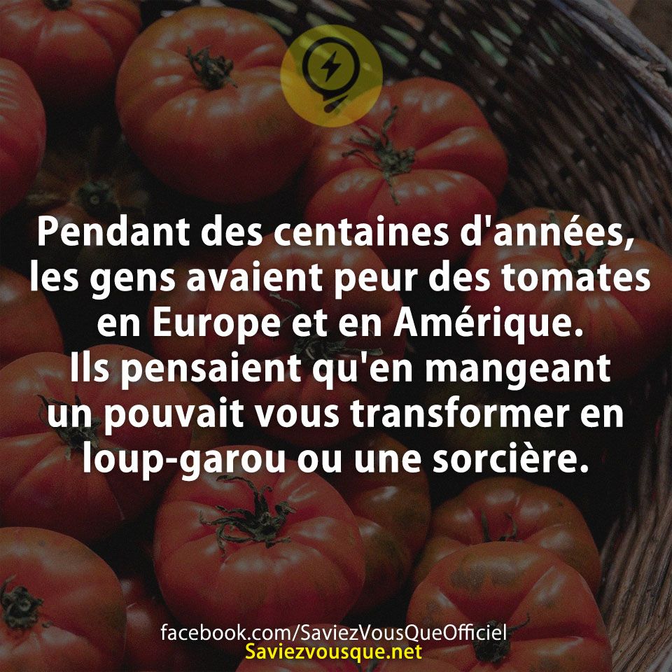 Pendant des centaines d&#039;années, les gens avaient peur des tomates en Europe et en Amérique. Ils pensaient qu&#039;en mangeant un pouvait vous transformer en loup-garou ou une sorcière.
