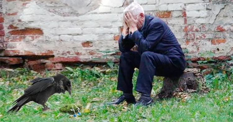 Un homme et un corbeau : Une amitié inattendue et touchante