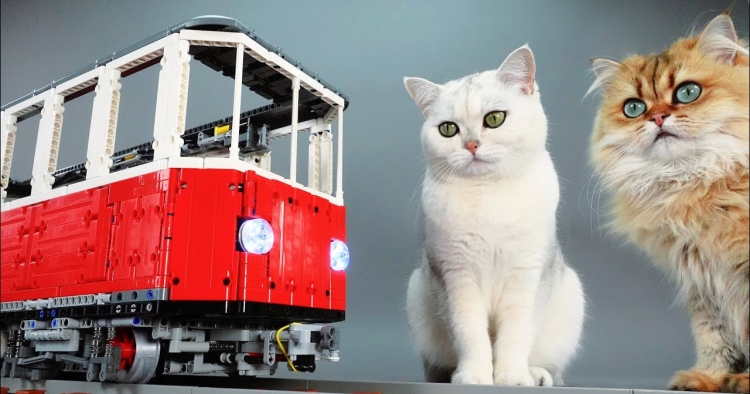 Il conçoit un train électrique en LEGO 100% fonctionnel pour ses chats