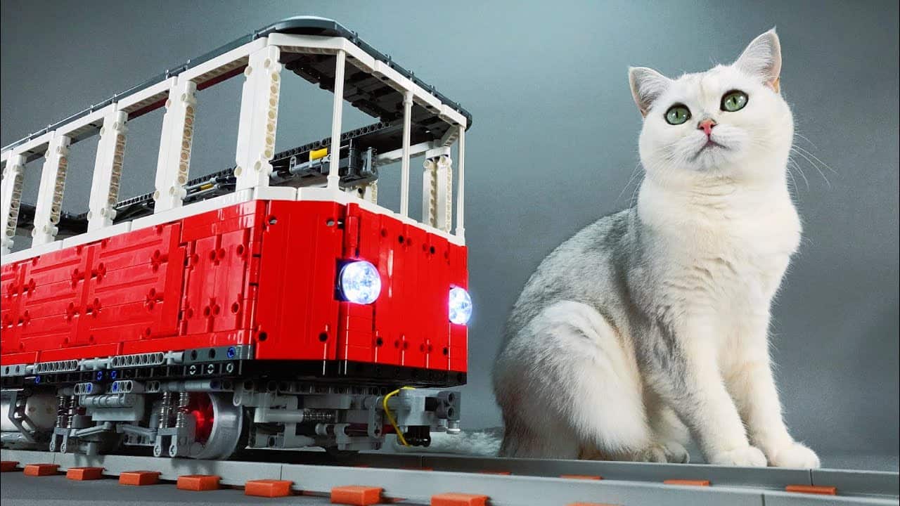 Des wagons à l'échelle Chats