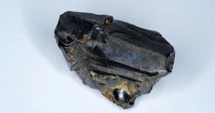 Des scientifiques découvrent des microbes vivants, vieux de 2 milliards d'années, dans la roche