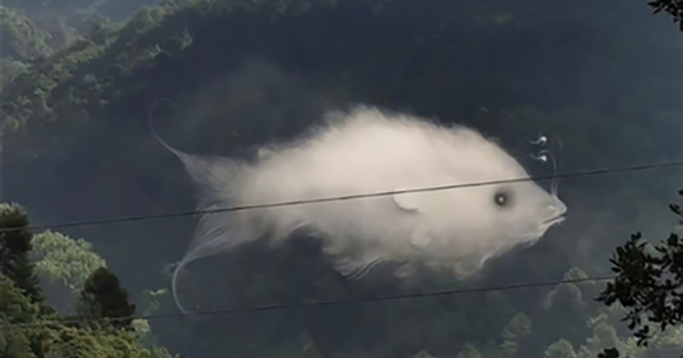 Test de Personnalité : Nuage ou Poisson ?