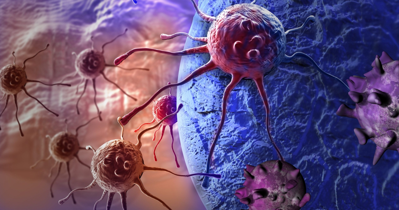 Pourquoi le Risque de  Cancer Chez les Personnes Âgées Diminue Après 80 Ans