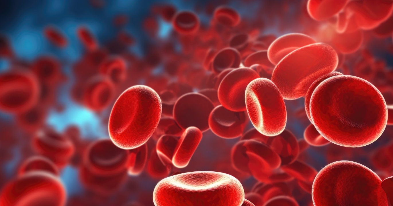 Découvrez Pourquoi Votre Sang Devient Vert À 30 Pieds Sous L&#039;eau : Le Phénomène Qui Fascine Les Plongeurs !