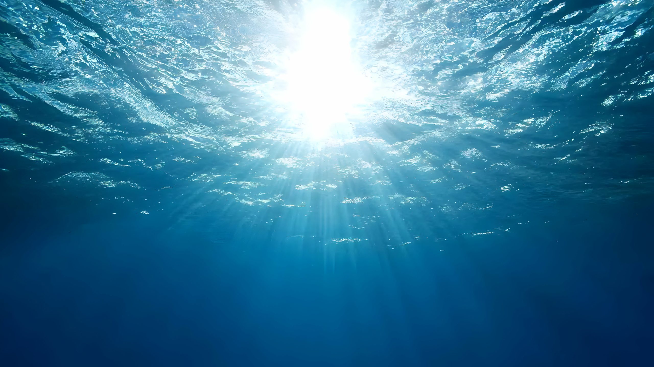 Conclusion : Une goutte d'eau, un monde à explorer