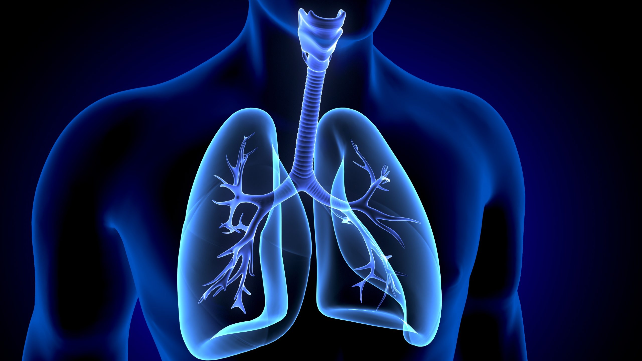 Une respiration unique, comme une empreinte digitale