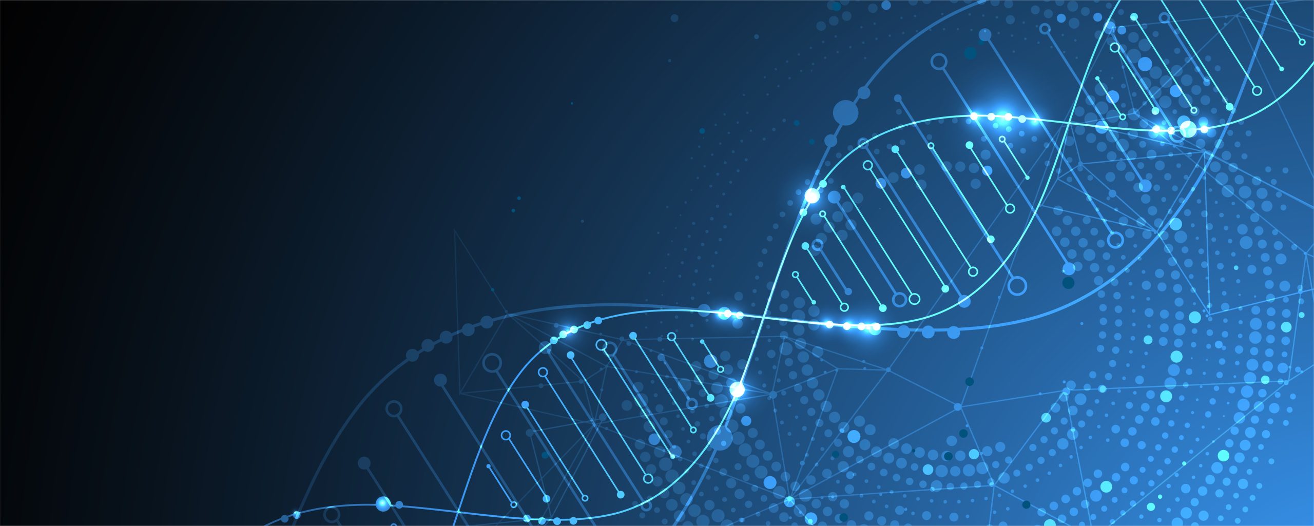 5. La régénération d’organes humains en laboratoire