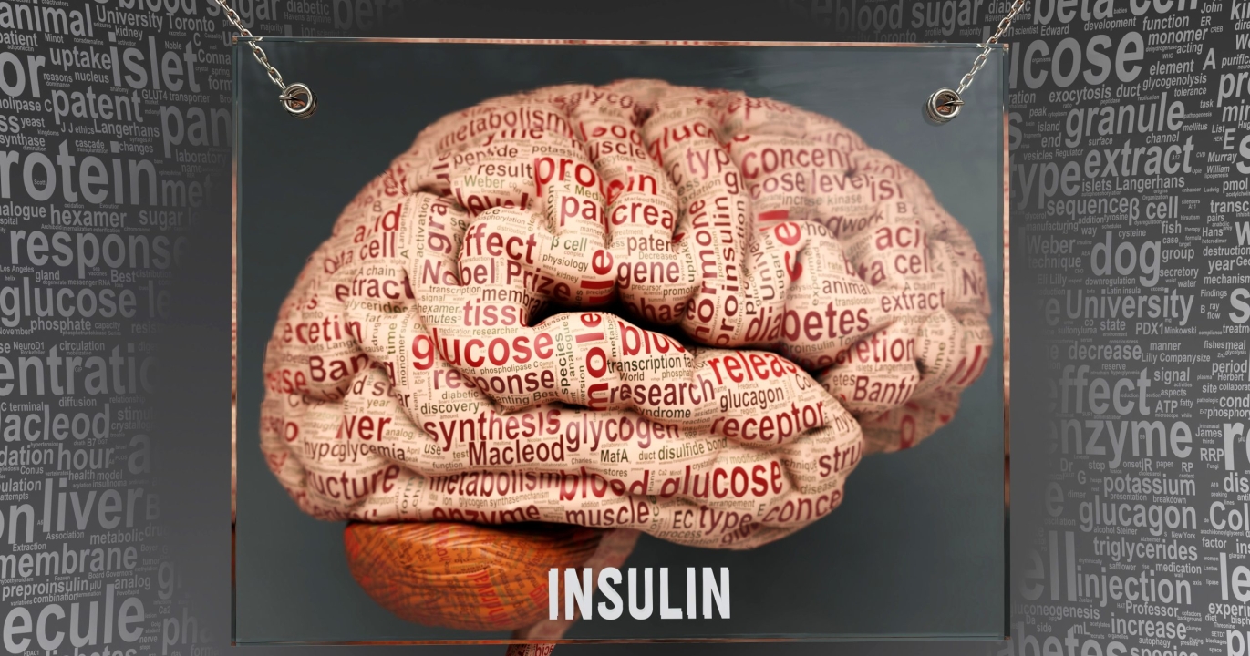 Découverte révolutionnaire : l’insuline n’est pas produite uniquement par le pancréas !