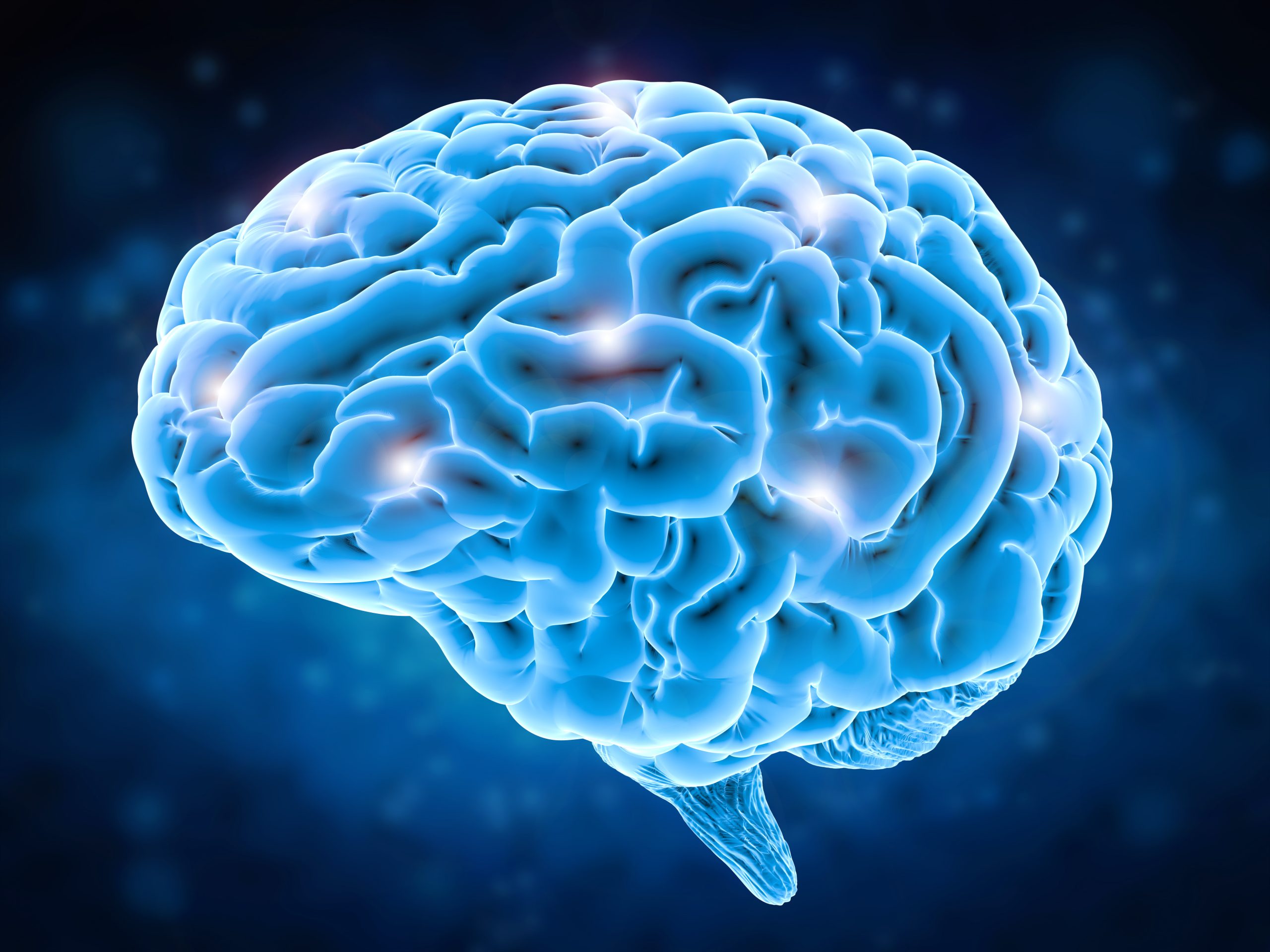 Des neurones protégés, des souvenirs sauvés : le cerveau face à la maladie