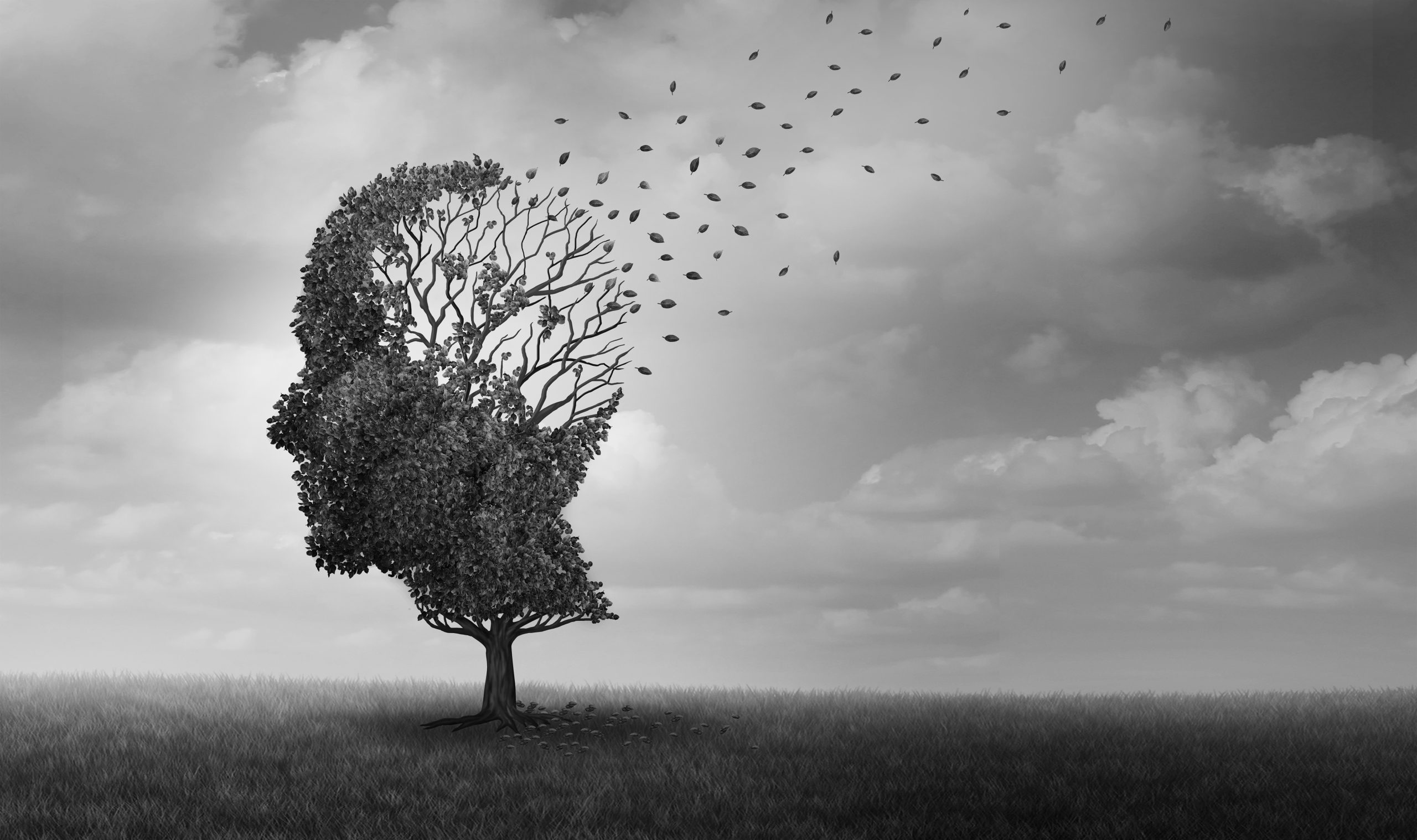 Conclusion : l’éclosion d’une nouvelle vision thérapeutique ou le début d’une trajectoire encore incertaine ?