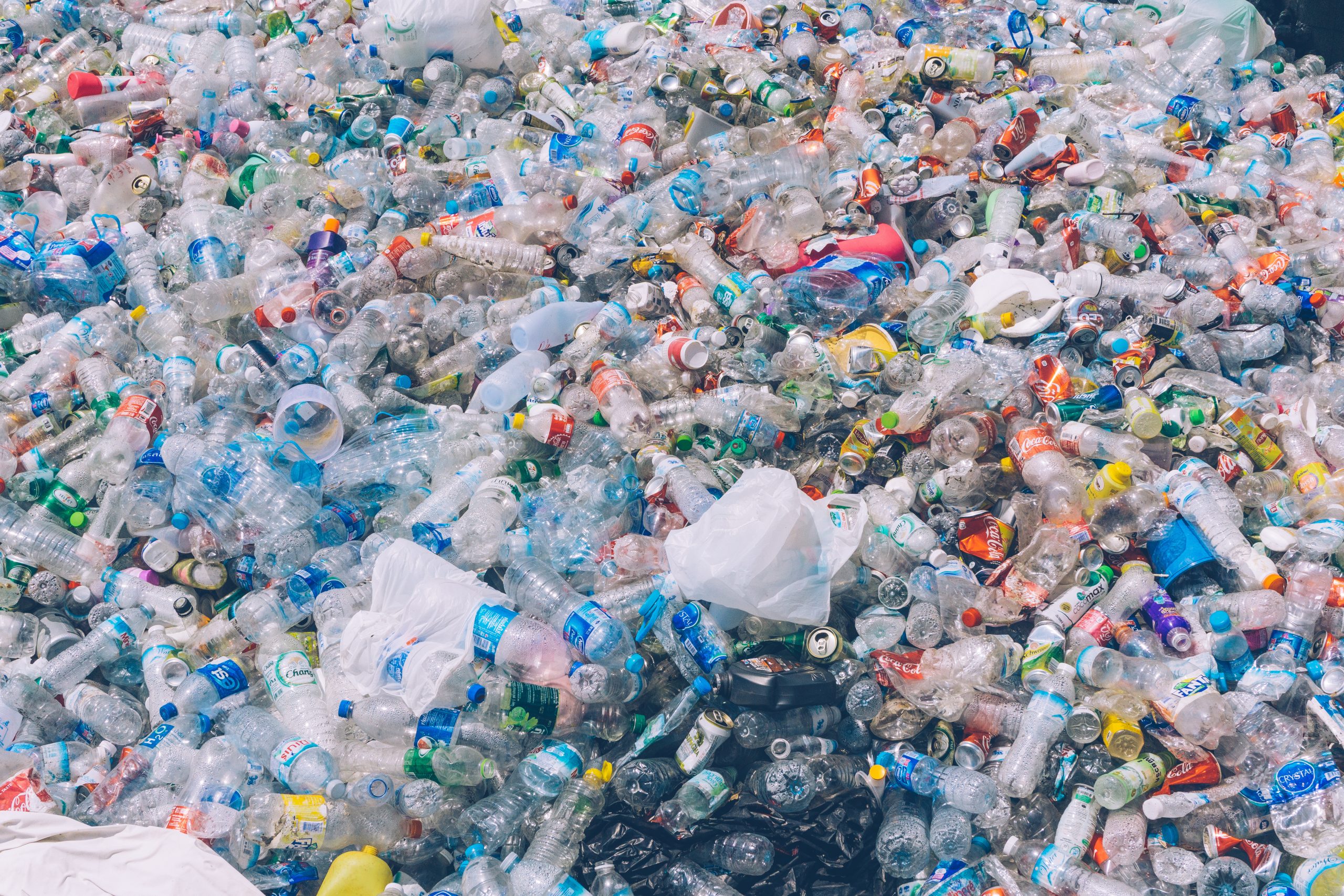 Retour en force du biodégradable : XXIe siècle, inquiétudes et solutions