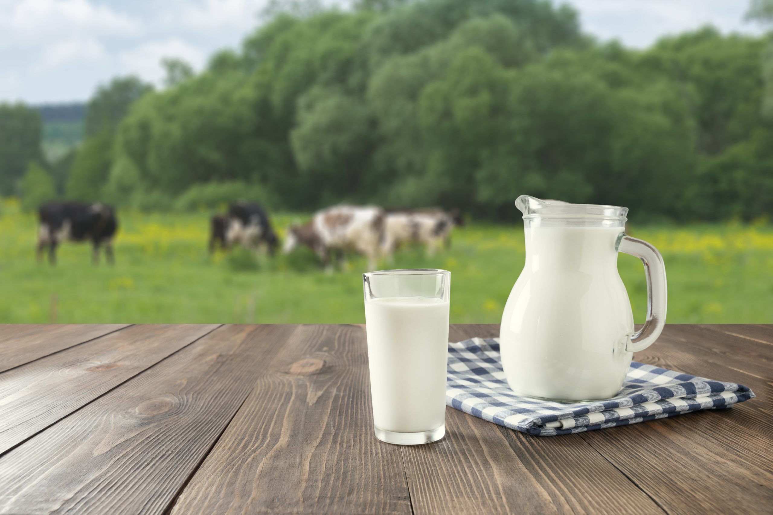conclusion – coexistence raisonnée entre eau et lait, choix éclairés pour une hydratation optimale