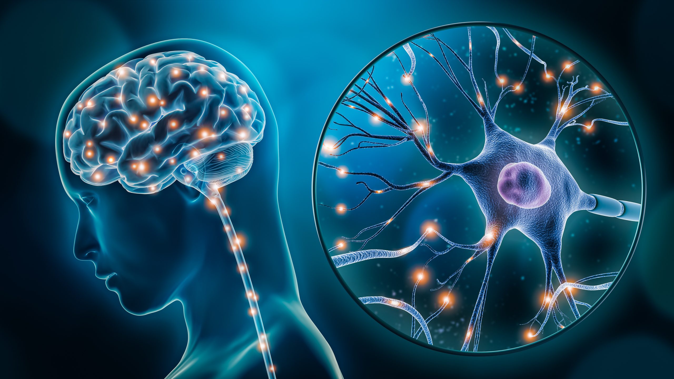 Le revers utile des biais cognitifs : nécessité et danger