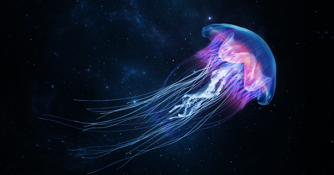 Saviez-vous que des animaux possèdent des super-pouvoirs méconnus ?