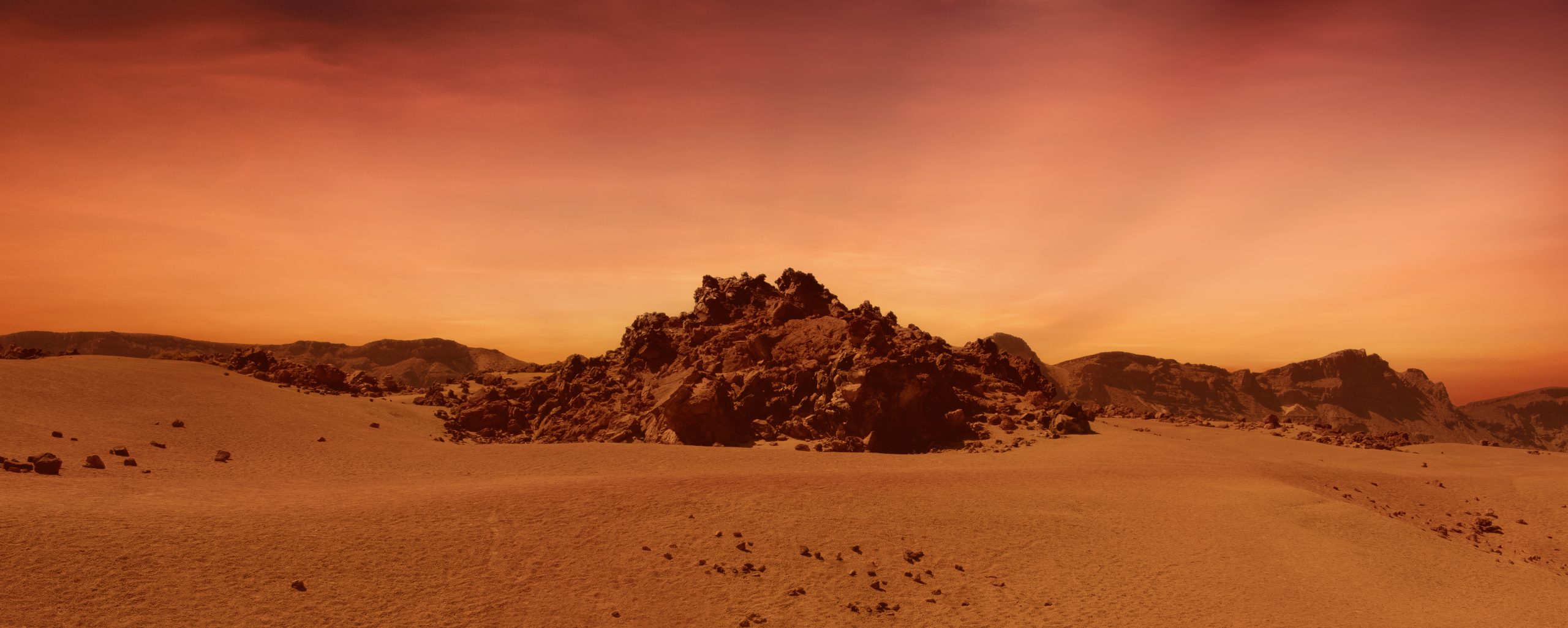 Les conséquences : une planète sans retour