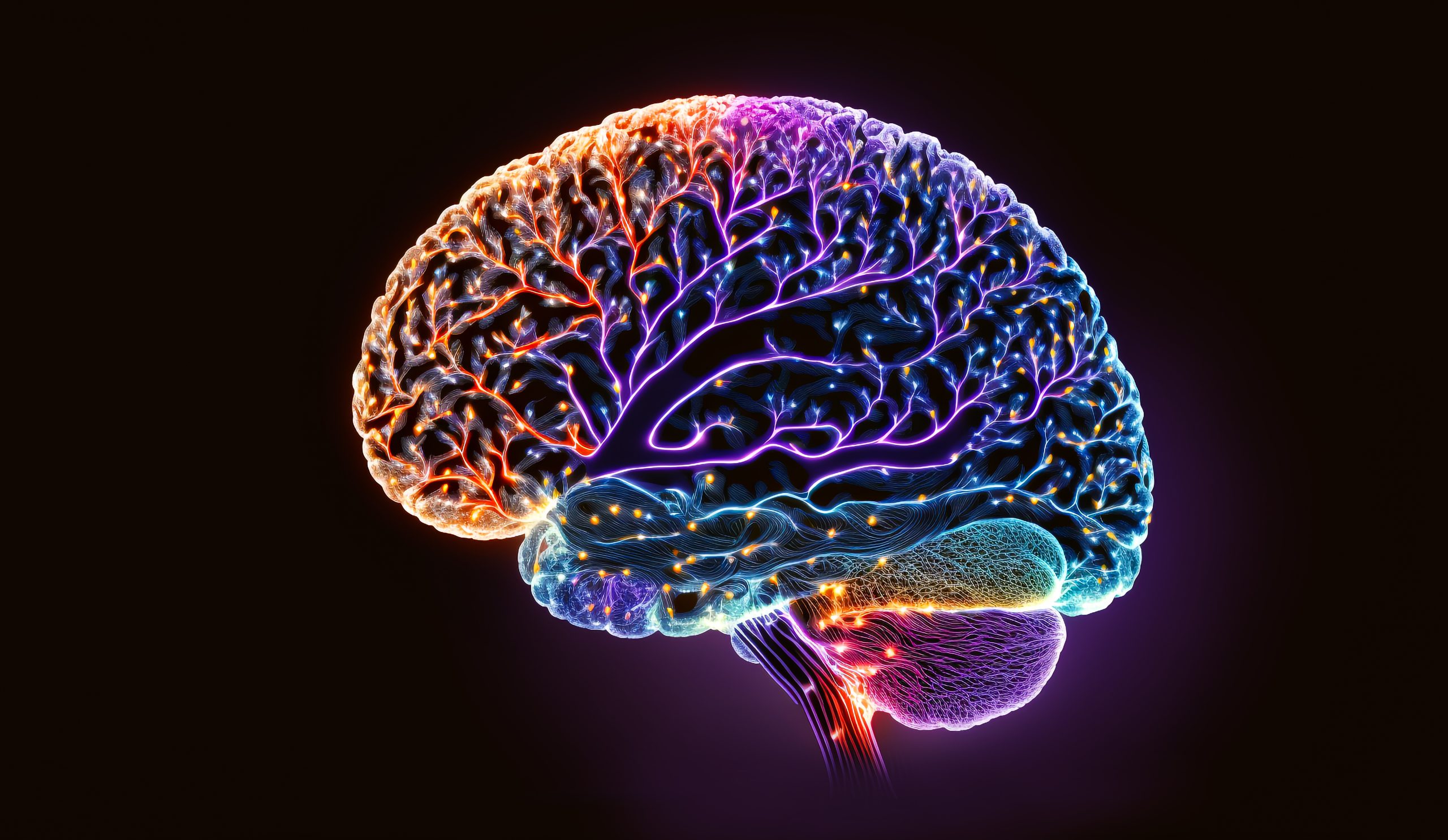 Le processus neurologique : anatomie d’une illusion internalisée