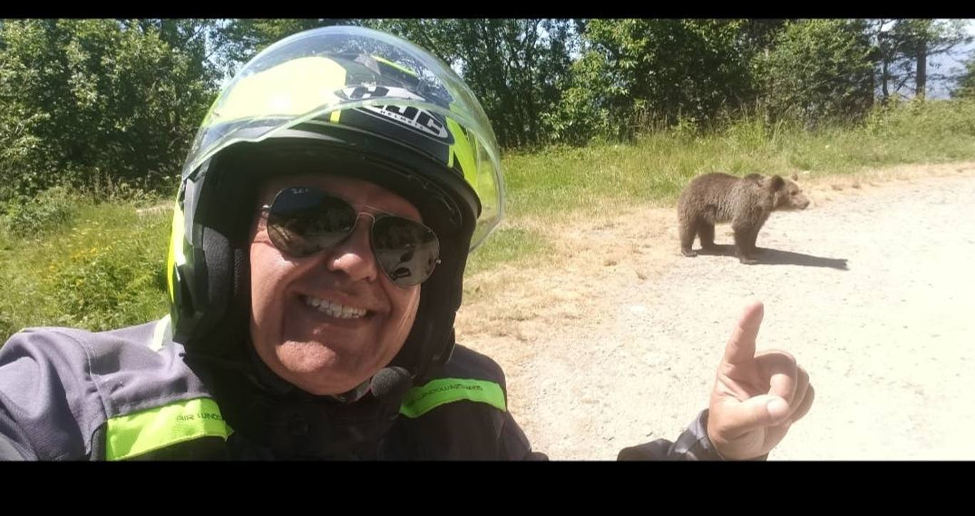 Le selfie de trop : un motard italien dévoré par un ours qu&#039;il voulait nourrir