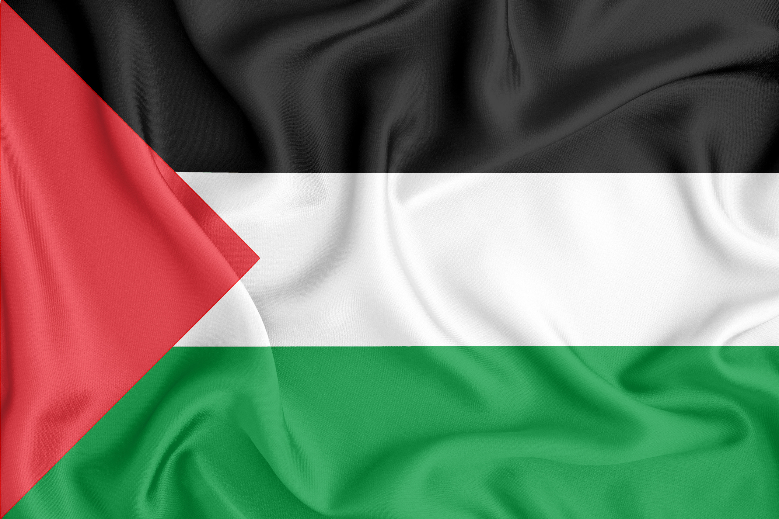 Les mouvements pro-palestiniens galvanisés