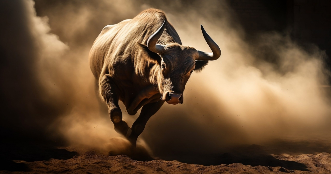 Saviez-vous que le mythe raconte que les taureaux voient la couleur rouge et deviennent furieux ?