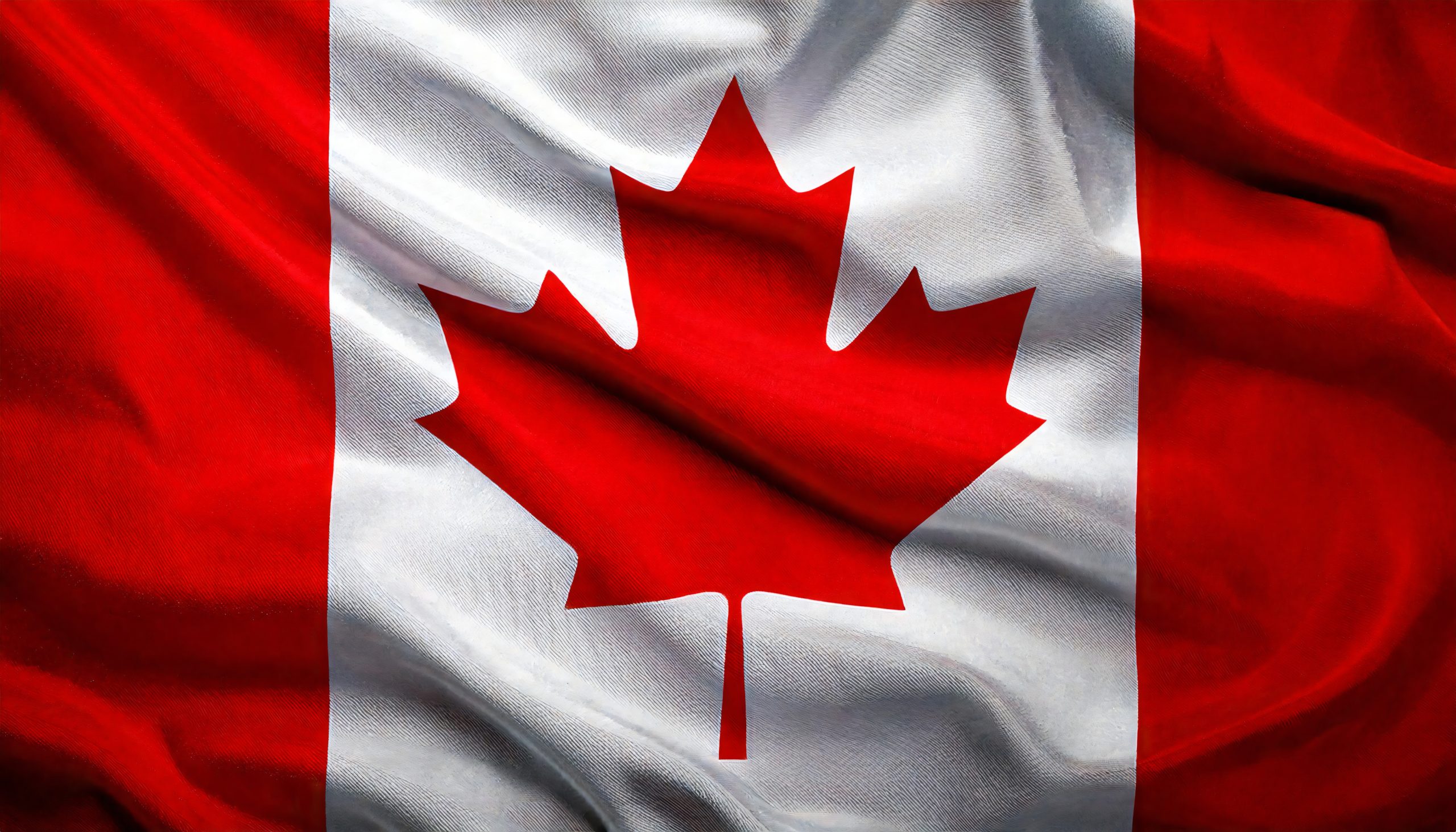 Le Canada, terre promise ou mirage désespéré ?