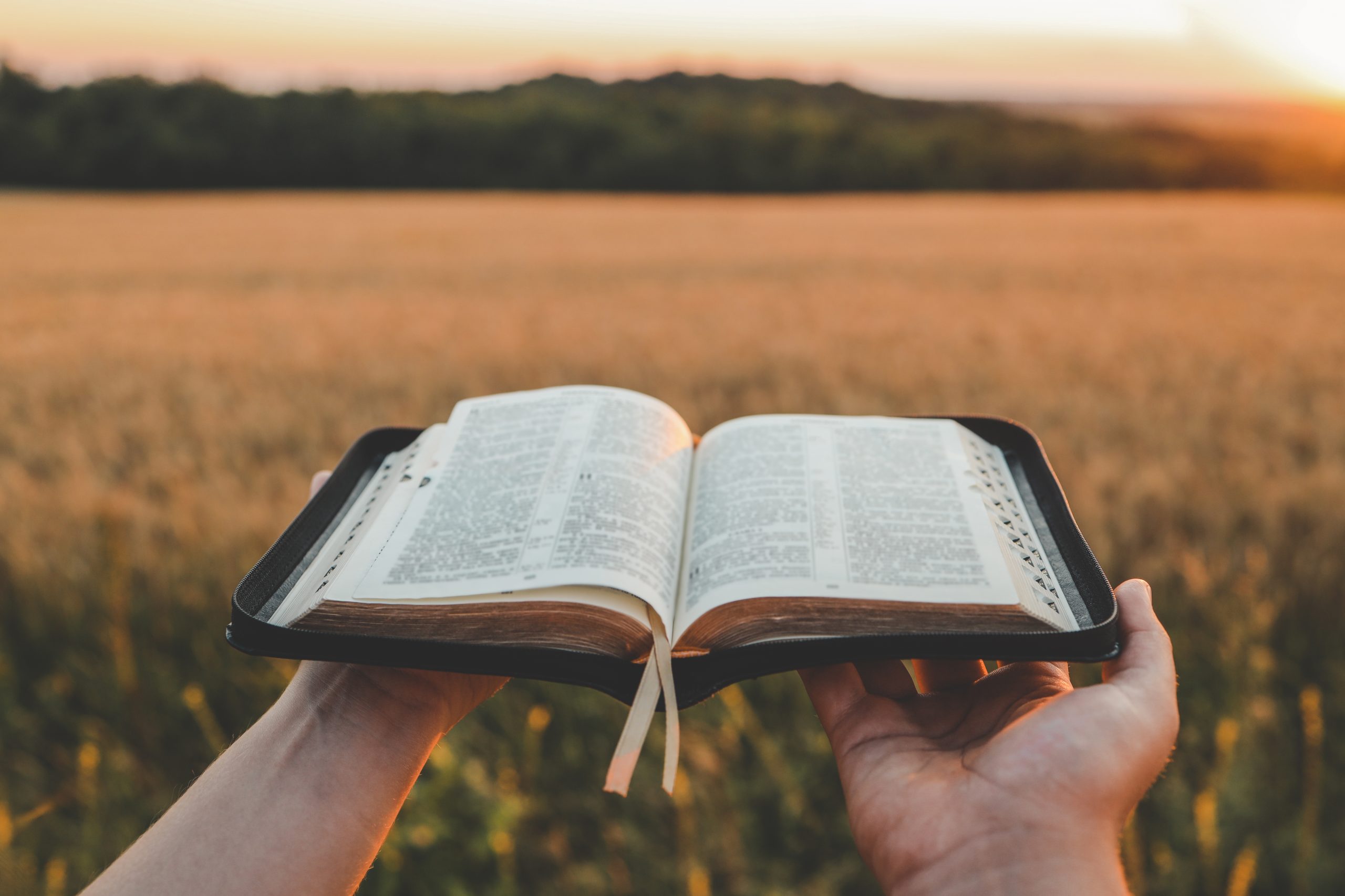 L’accord spirituel entre défenseurs et pouvoir religieux