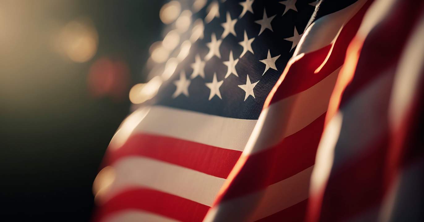 Section 11 : la dimension constitutionnelle de la crise