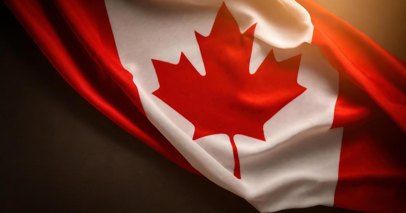 Conclusion : le prix de notre lâcheté collective