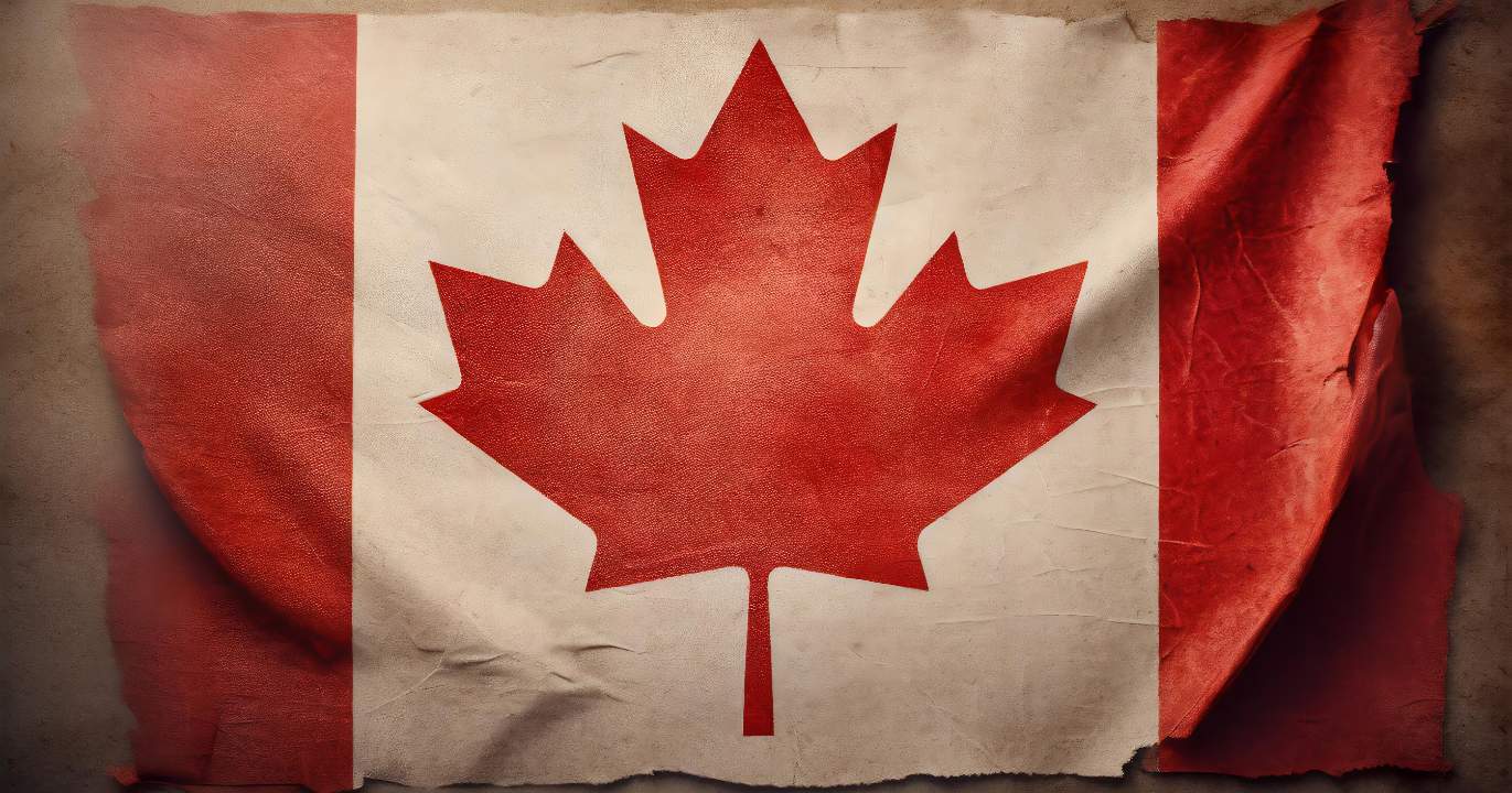 Section 8 : Les espoirs : une nouvelle génération de technologies made in Canada