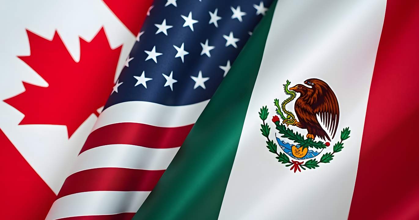 La coupe, neuf ans plus tard : inventaire des dégâts