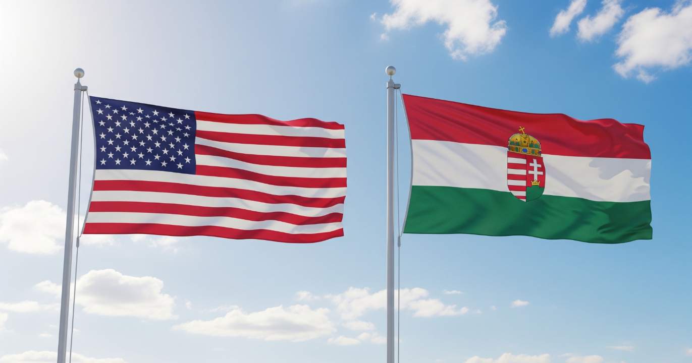 Poutine observe — et calcule