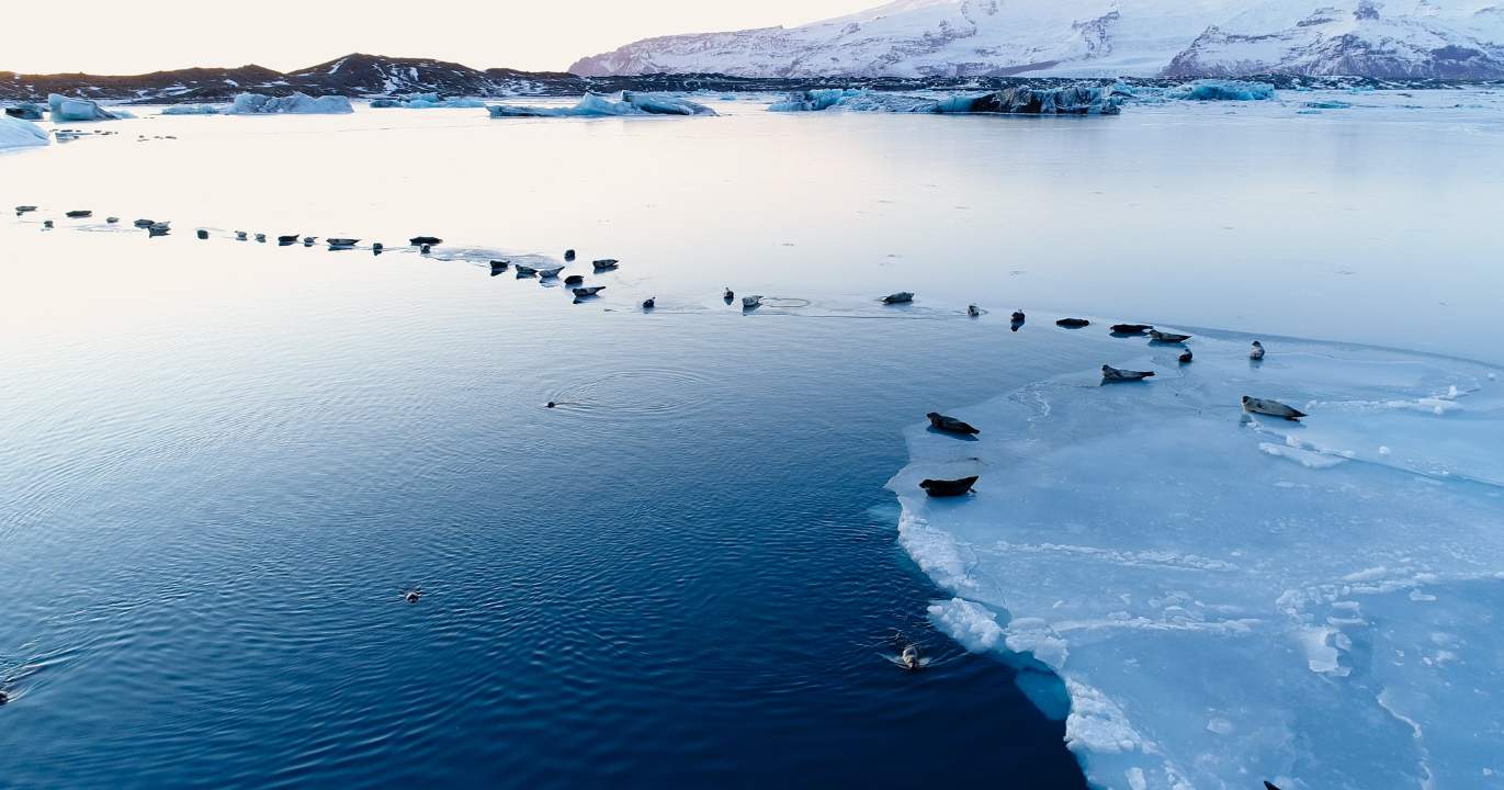 La fragmentation du droit : qui gouverne l'Arctique ?