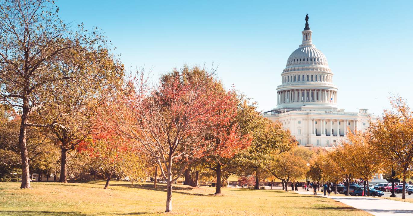 L'architecture de l'oubli