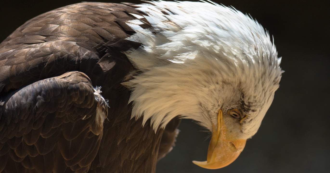 Le précédent historique qui devrait tous nous alarmer