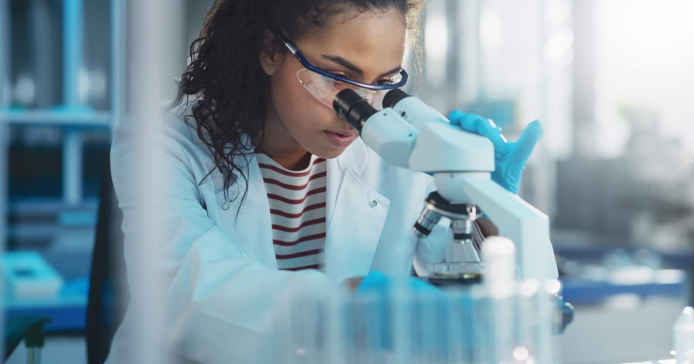 La destruction comme méthode : un calendrier documenté