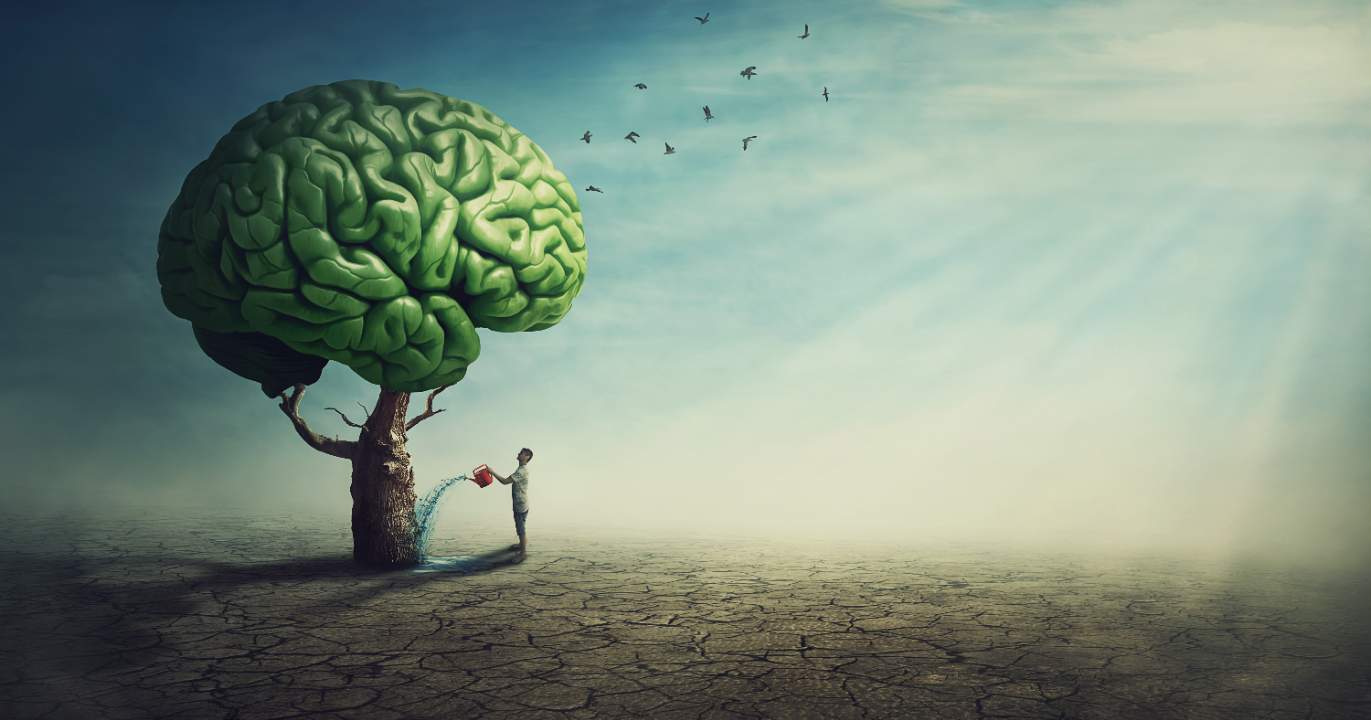 Le cabinet des silencieux — portrait d'une lâcheté collective