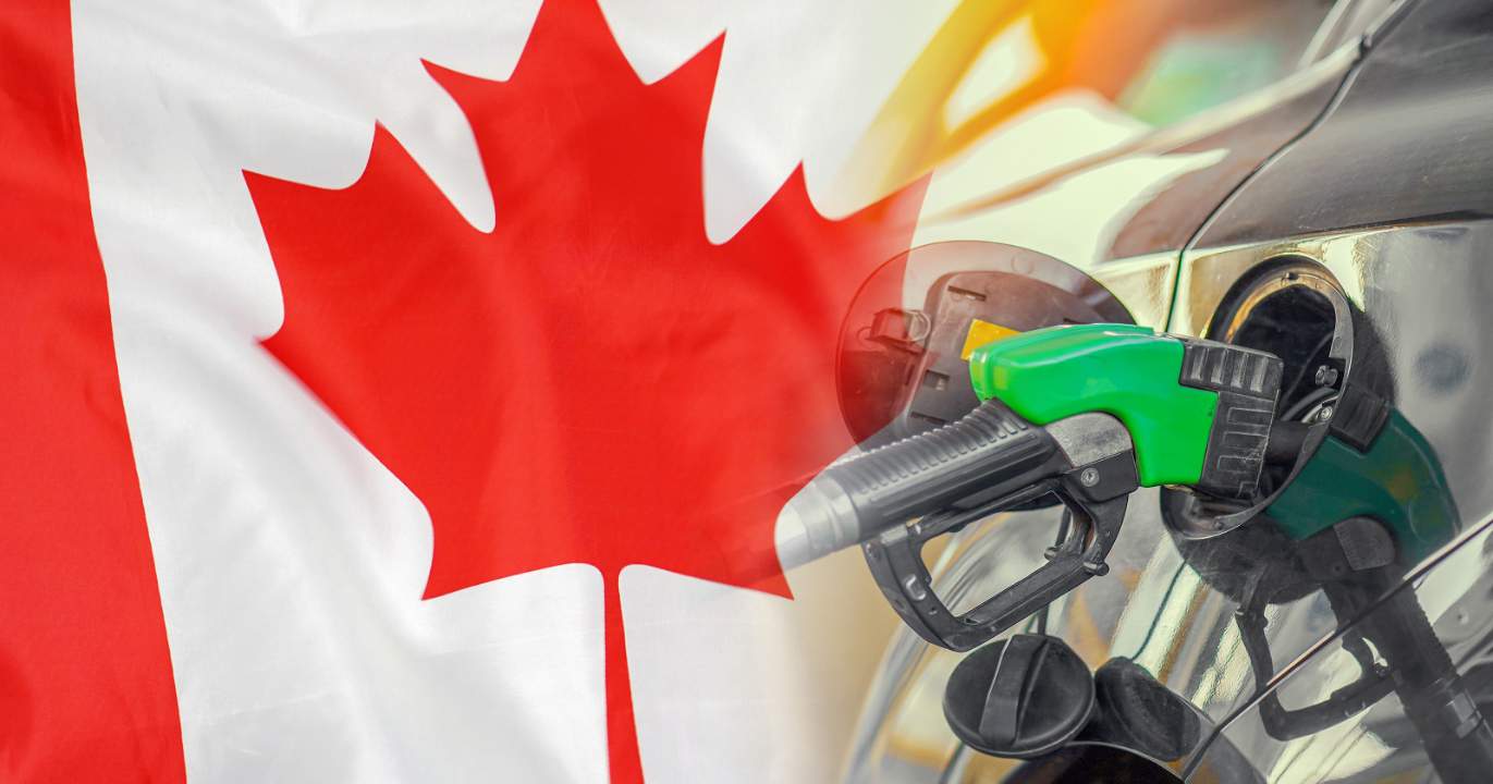 La mécanique froide du « temporaire permanent »