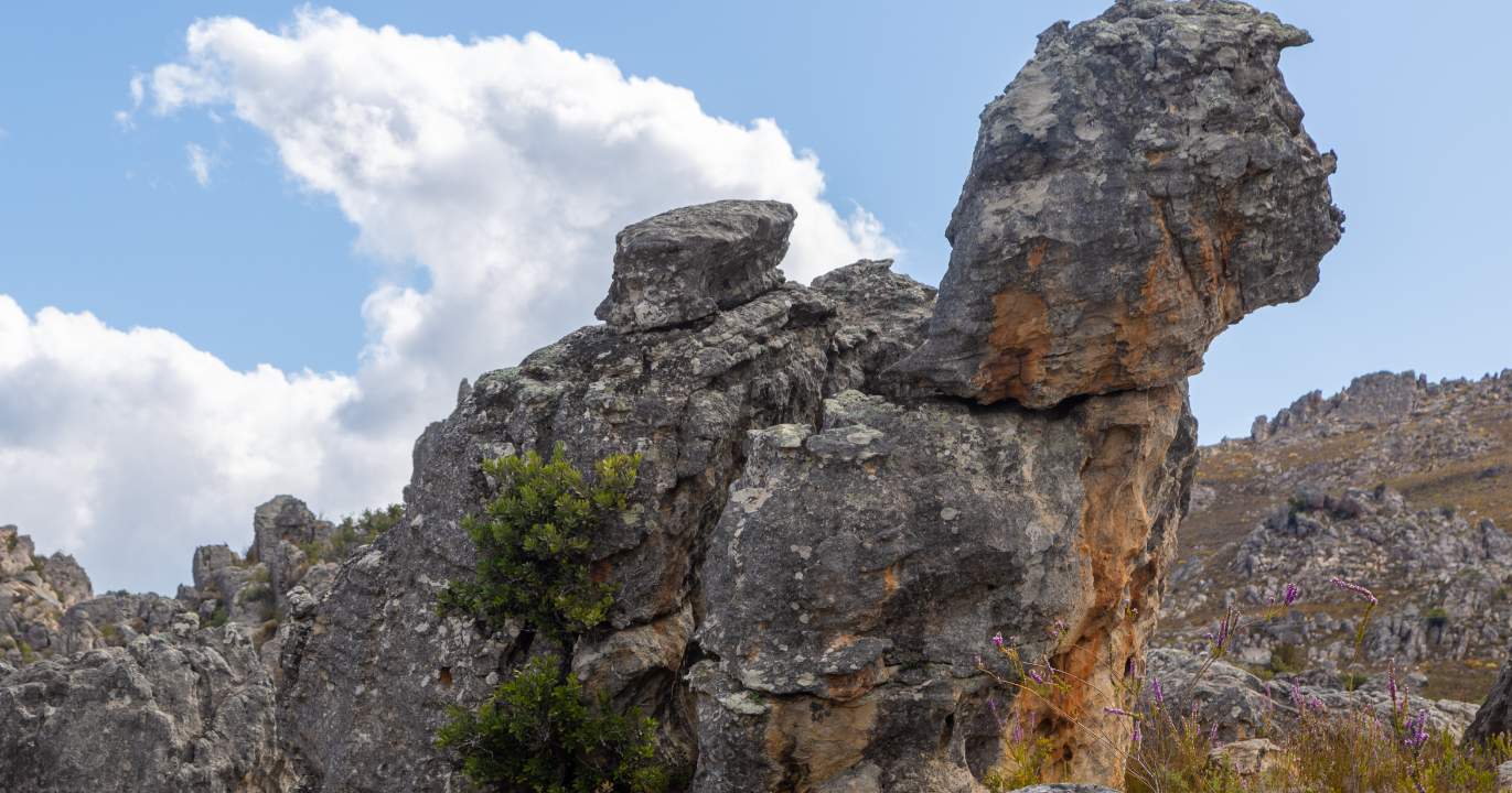 Ce que tout ça dit, au fond
