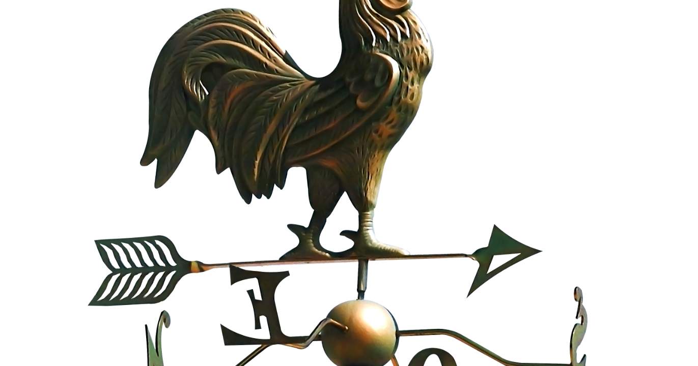 La diplomatie du Tweet et ses victimes silencieuses