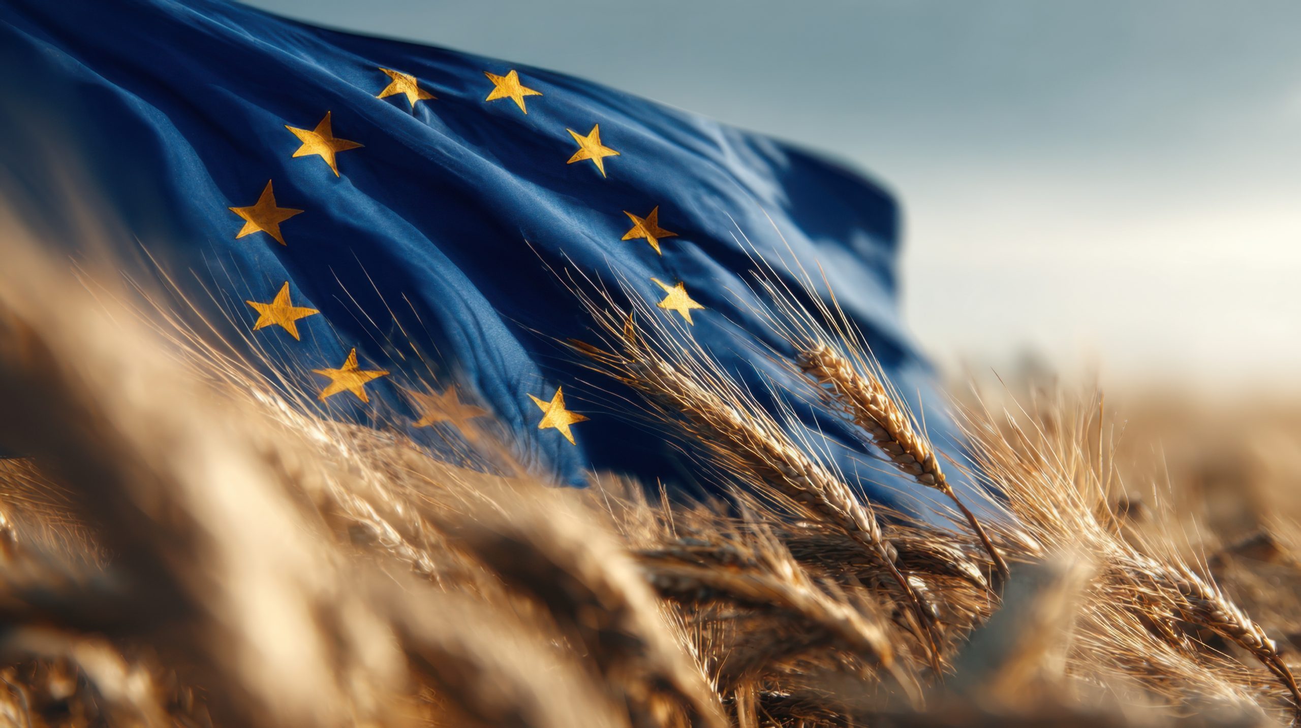 Conclusion : Résister à la tentation du deal facile