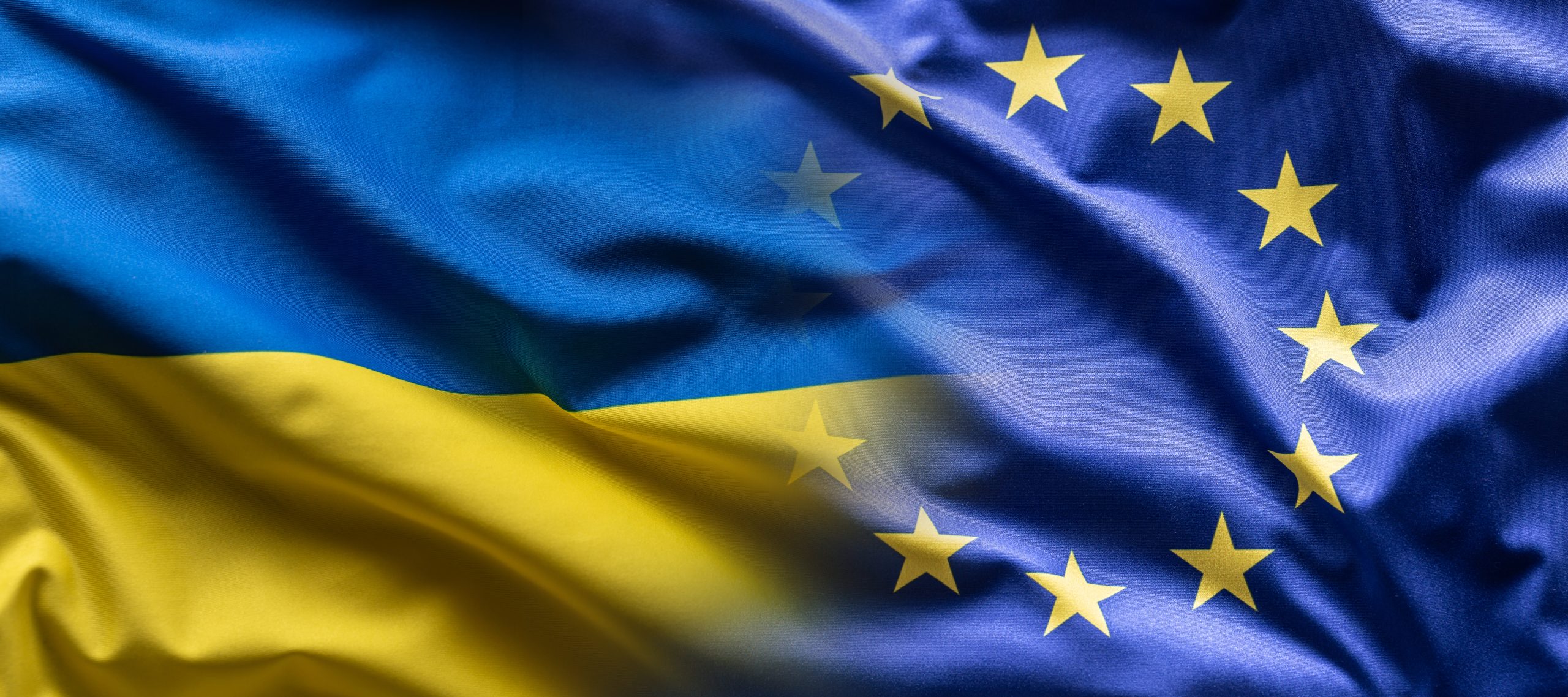 L'entreprise Fire Point et la contribution ukrainienne