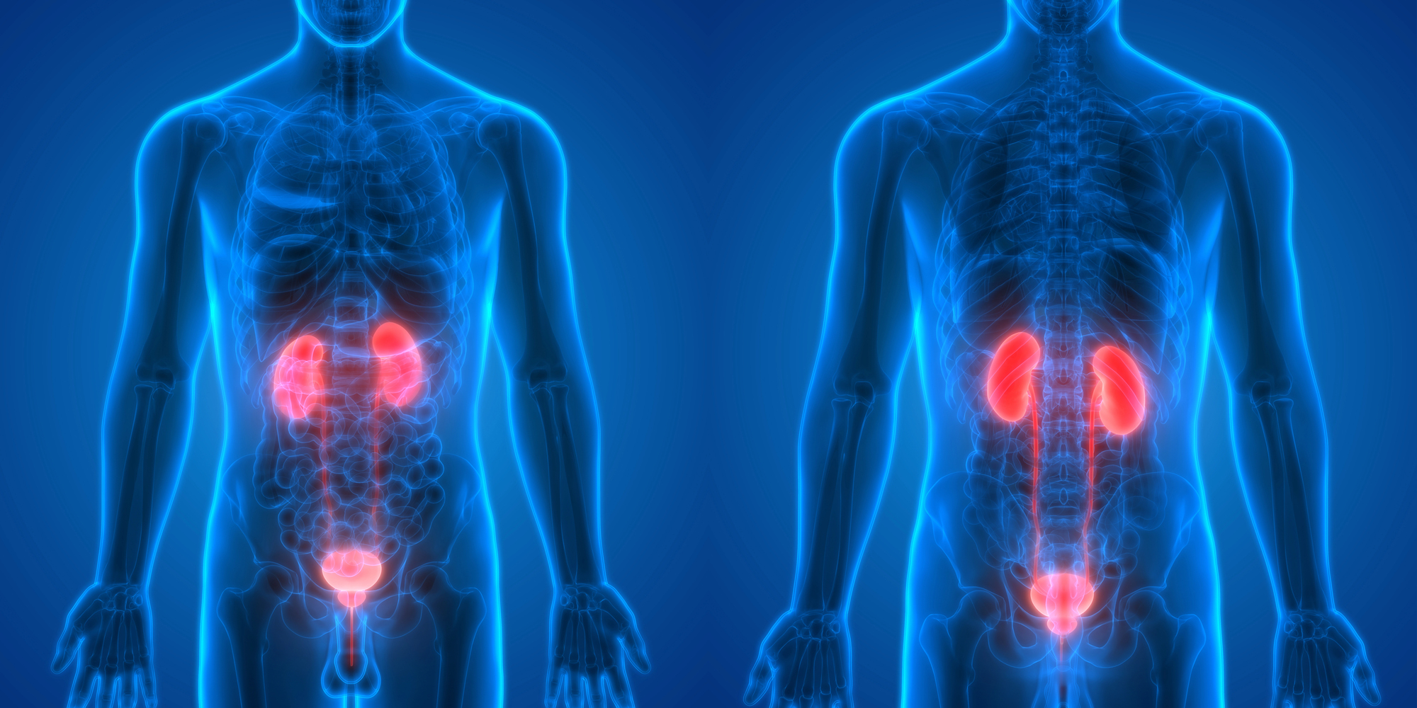ANALYSE : Un essai de phase 3 qui pourrait changer la vie de patients atteints du cancer de la vessie