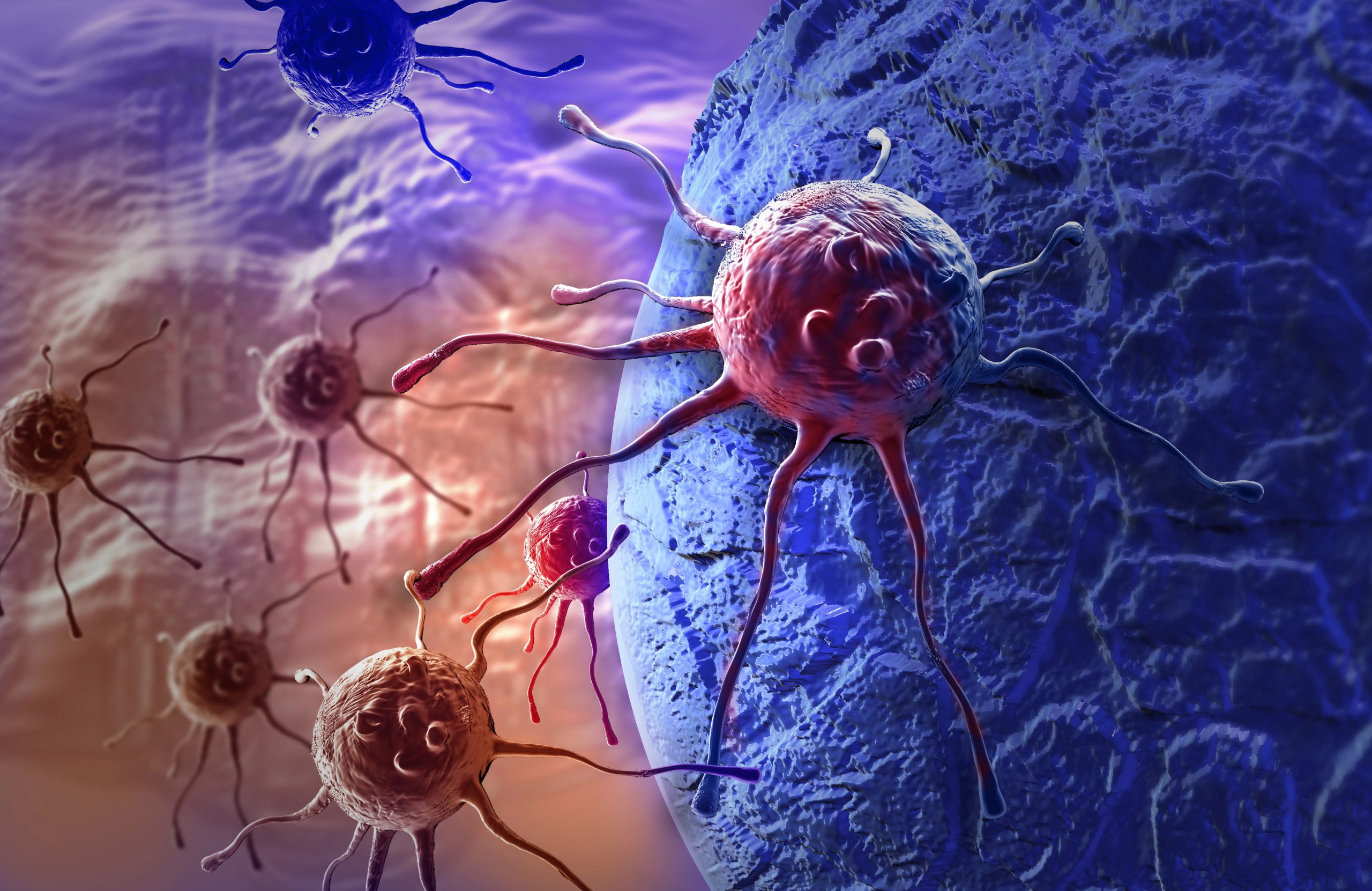 ÉCLAIRAGE : Un vaccin expérimental contre le cancer s'appuie sur la mémoire anti-COVID