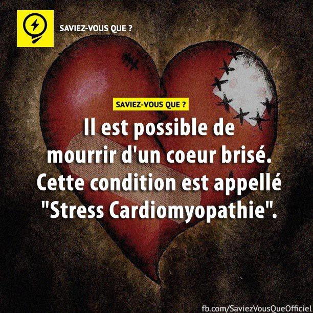 Il est possible de mourir d’un coeur brisé. Cette condition est appelé « Stress Cardiomyopathie ».