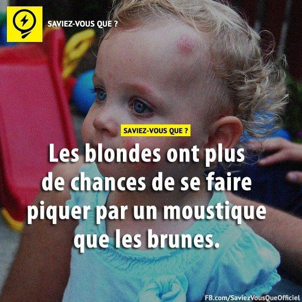 Les blondes ont plus de chances de se faire piquer par un moustique que les brunes.