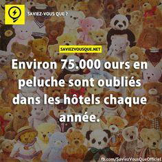 Environ 75.000 ours en peluche sont oubliés dans les hôtels chaque année.