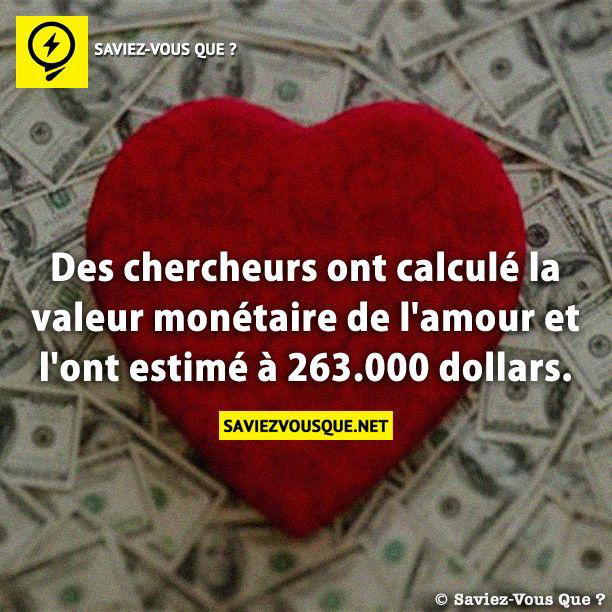 Des chercheurs ont calculé la valeur monétaire de l’amour et l’ont estimé à 263.000 dollars.