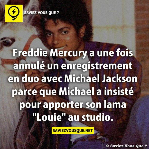 Freddie Mercury a une fois annulé un enregistrement en duo avec Michael Jackson parce que Michael a insisté pour apporter son lama “Louie” au studio.