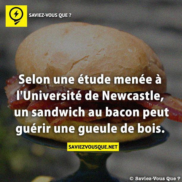 Selon une étude menée à l’Université de Newcastle, un sandwich au bacon peut guérir une gueule de bois.