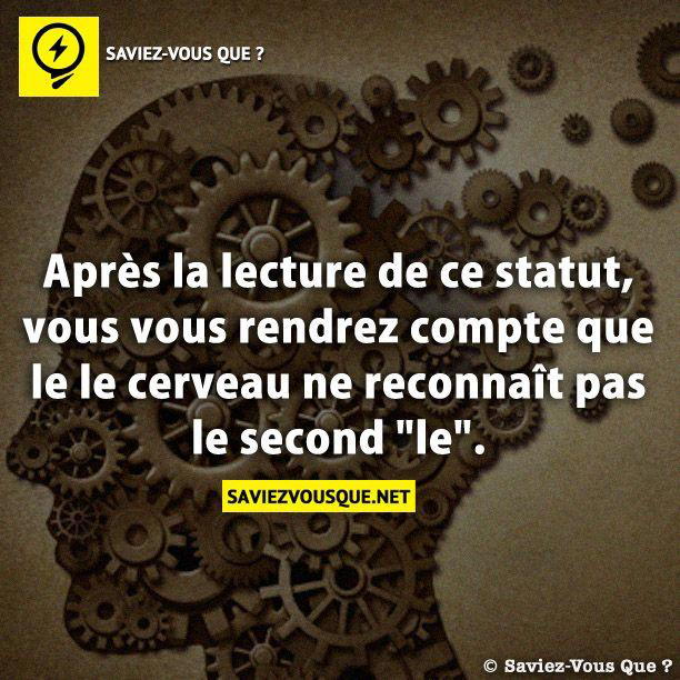 Après la lecture de ce statut, vous vous rendrez compte que le le cerveau ne reconnaît pas le second “le”.