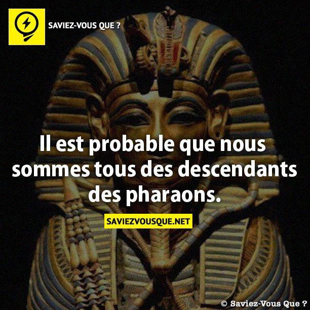 Il est probable que nous sommes tous des descendants des pharaons.